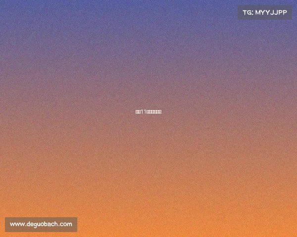 澳门11月赛事安排表